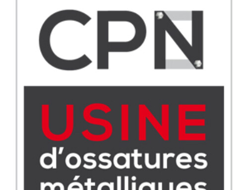 CPN CARAIBE PROFILS NUMÉRIQUES