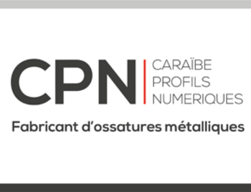 CPN CARAIBES PROFILS NUMÉRIQUES