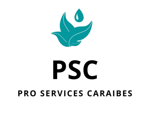 PRO SERVICES CARAIBES