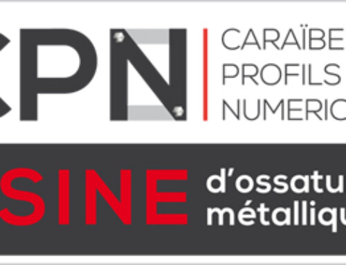 CPN CARAIBE PROFILS NUMÉRIQUES